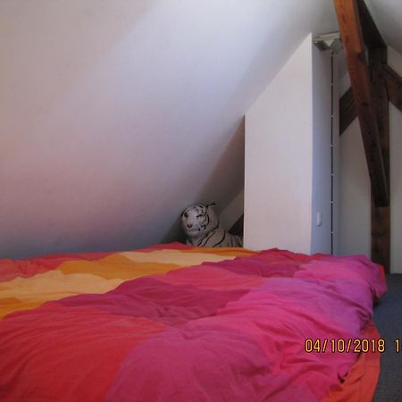 R Bnb Ouest Molsheim Kültér fotó